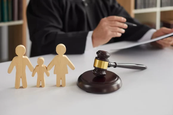 Lawyer Adoption